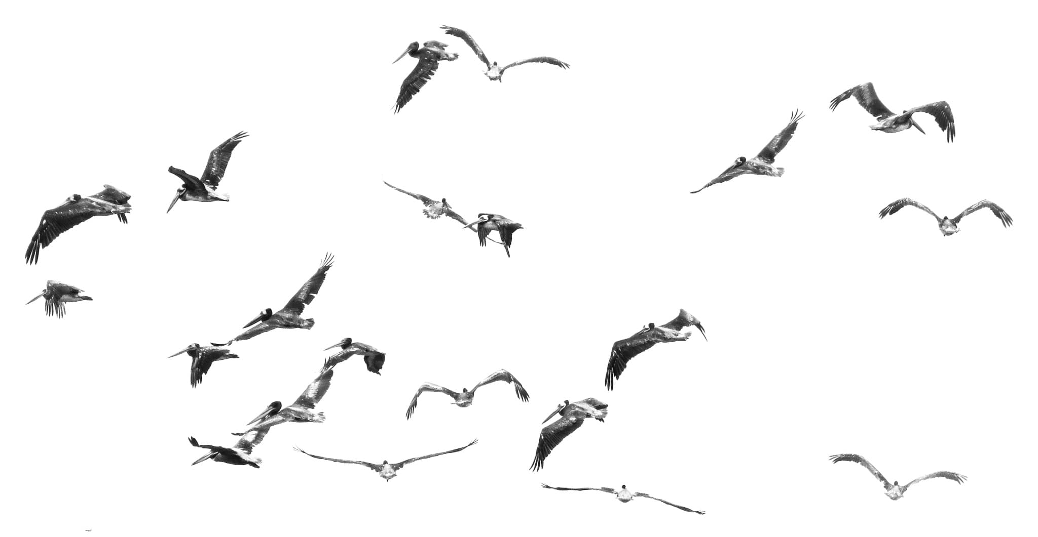 Pajaretes - Fotografía artística del mar por Cristian Letelier (Yiasau)