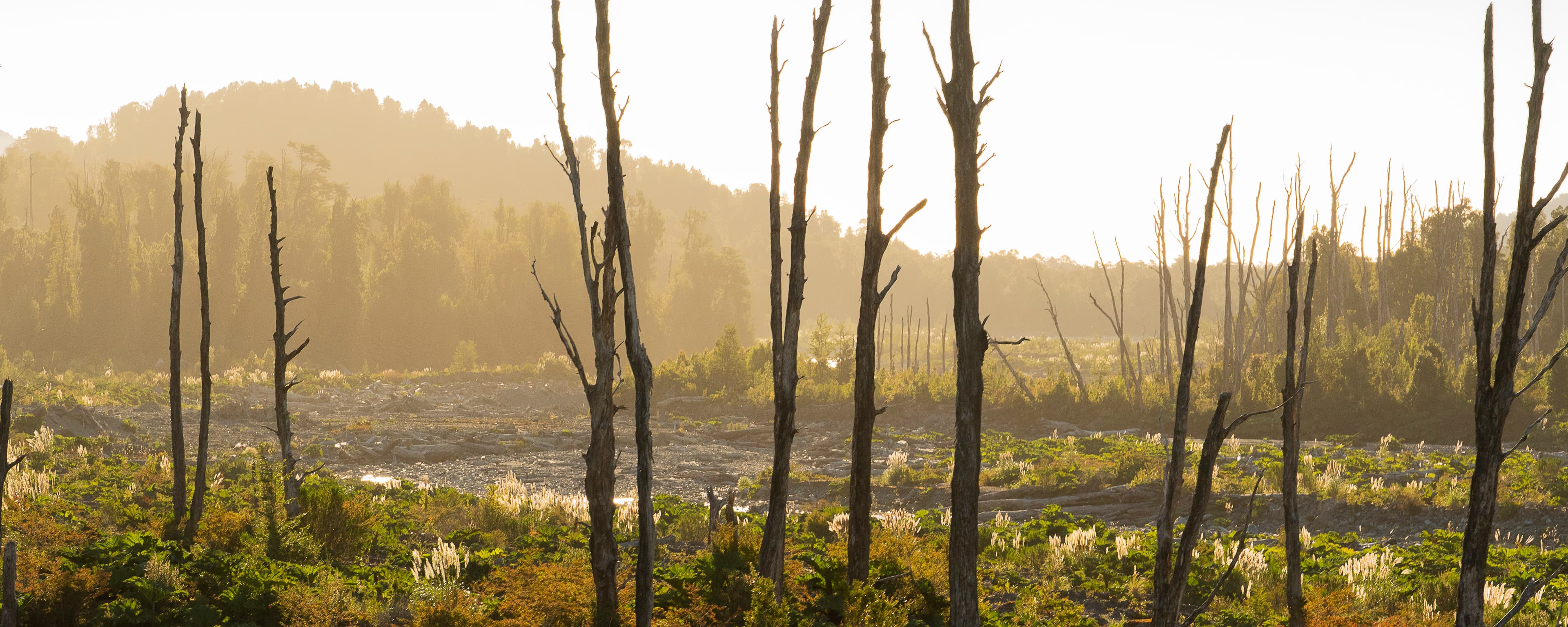 Sur de Chile - Fotografía favorita por Cristian Letelier (Yiasau)