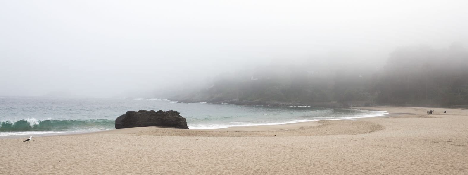 Panorámica de playa con niebla, roca oscura en la orilla, gaviota a la izquierda, cerro brumoso. Agua #P1, fotografía de Cristian Letelier, edición limitada