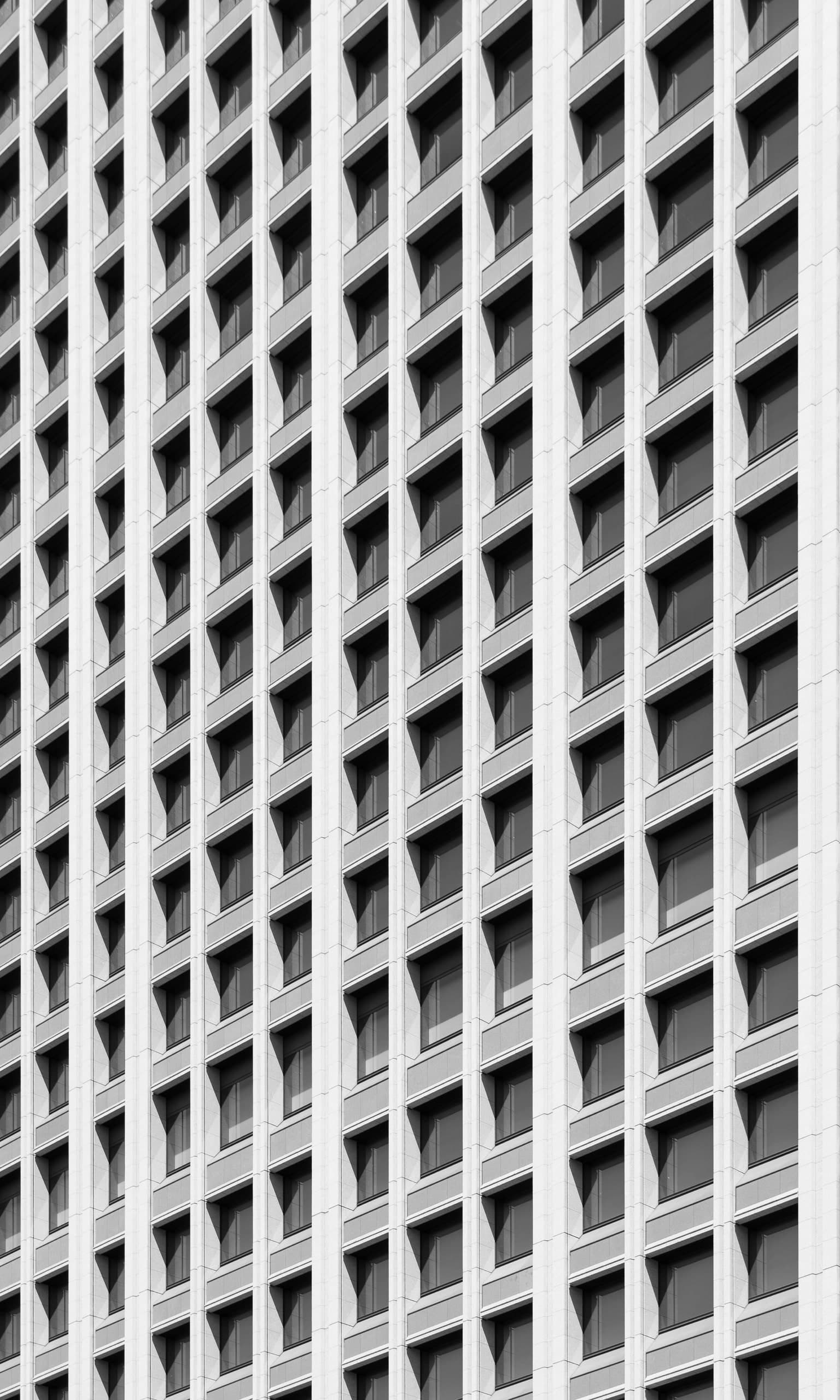Concrete Jungle — 4 / 8. Fotografía de Cristian Letelier