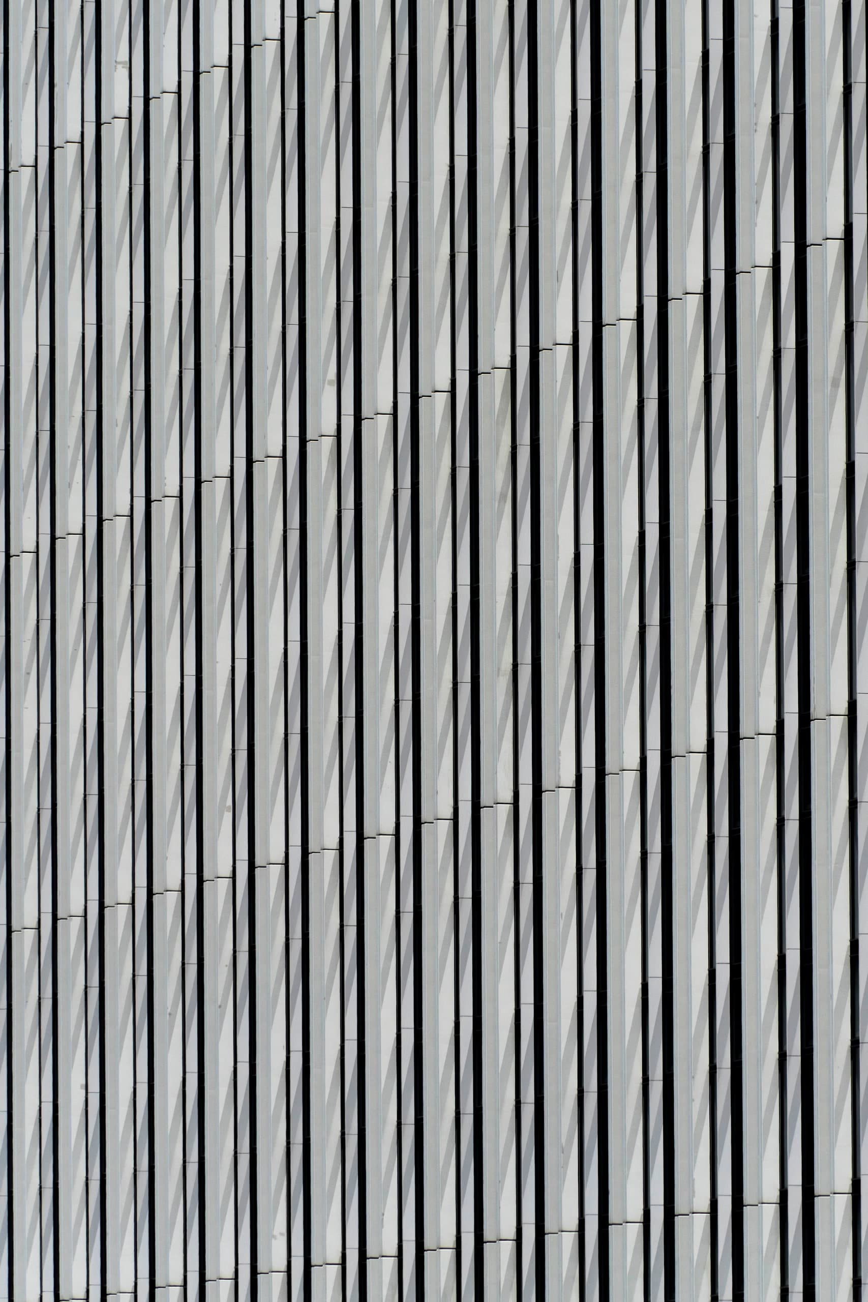 Concrete Jungle — 7 / 8. Fotografía de Cristian Letelier