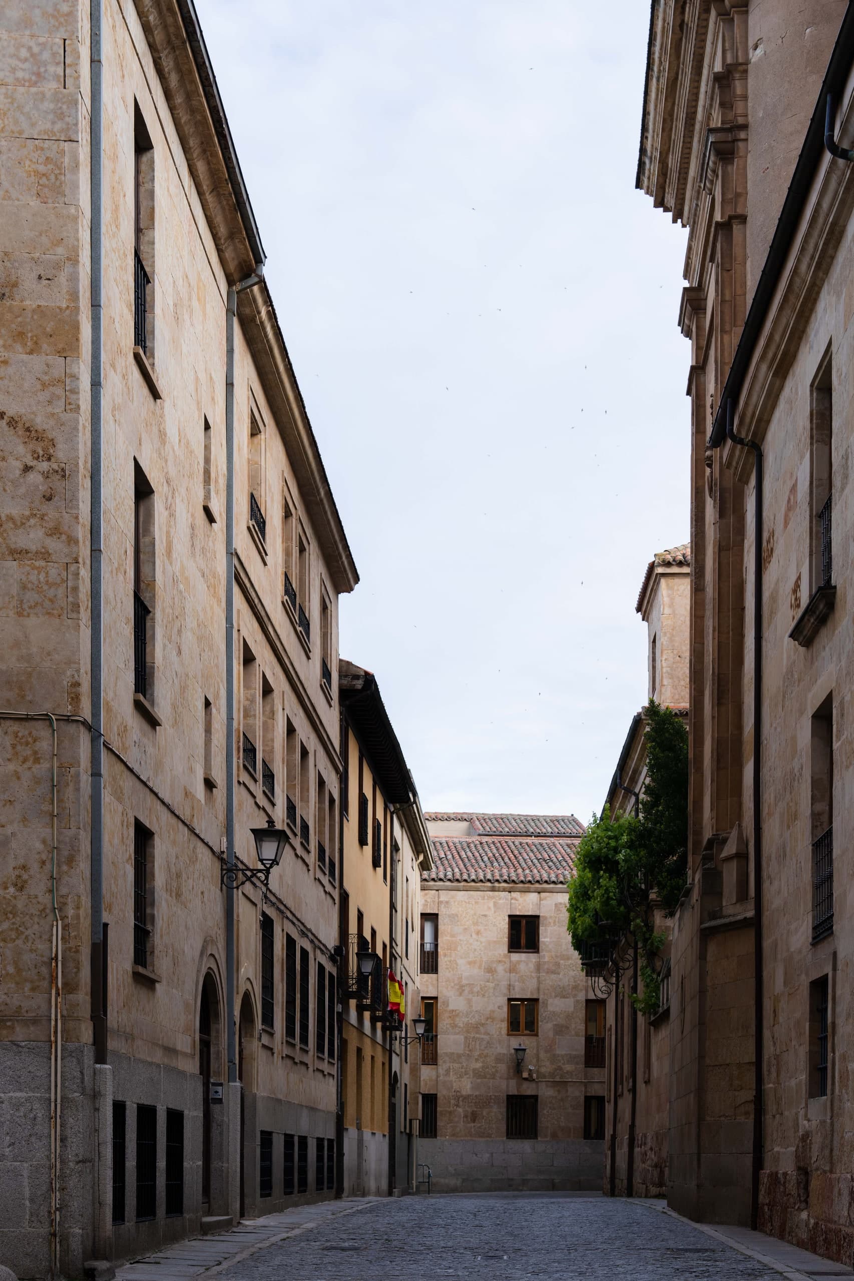 Salamanca, 2026. Lugares conscientes — 7 / 12. Fotografía de Cristian Letelier