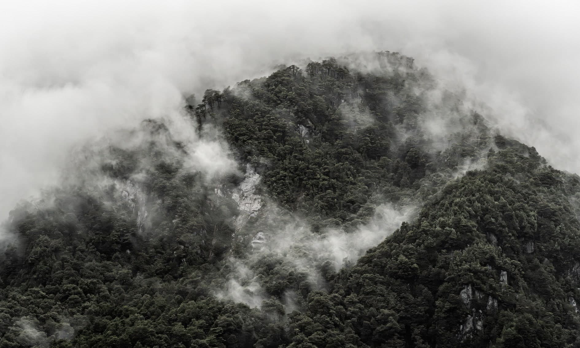 Cerro boscoso envuelto en nubes y niebla; color verde oscuro. Tierra #S10, fotografía de Cristian Letelier, edición limitada