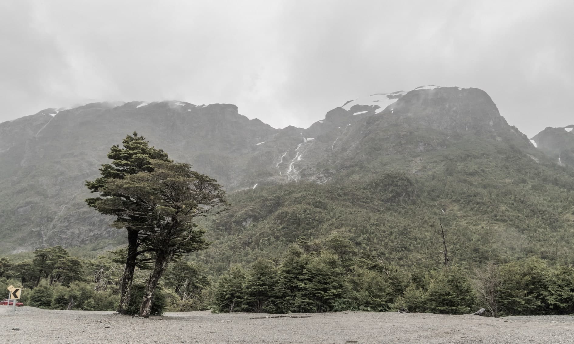Árbol inclinado por el viento frente a bosque y montañas nevadas, señal de camino; color. Tierra #S22, fotografía de Cristian Letelier, edición limitada