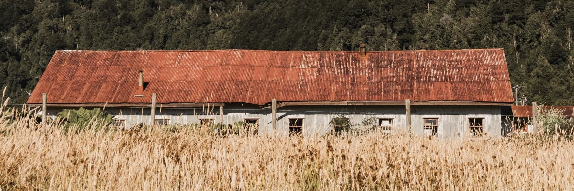 Casa/galpón de techo rojo oxidado entre pastizal seco, bosque detrás; panorámica; color. Tierra #S24, fotografía de Cristian Letelier, edición limitada