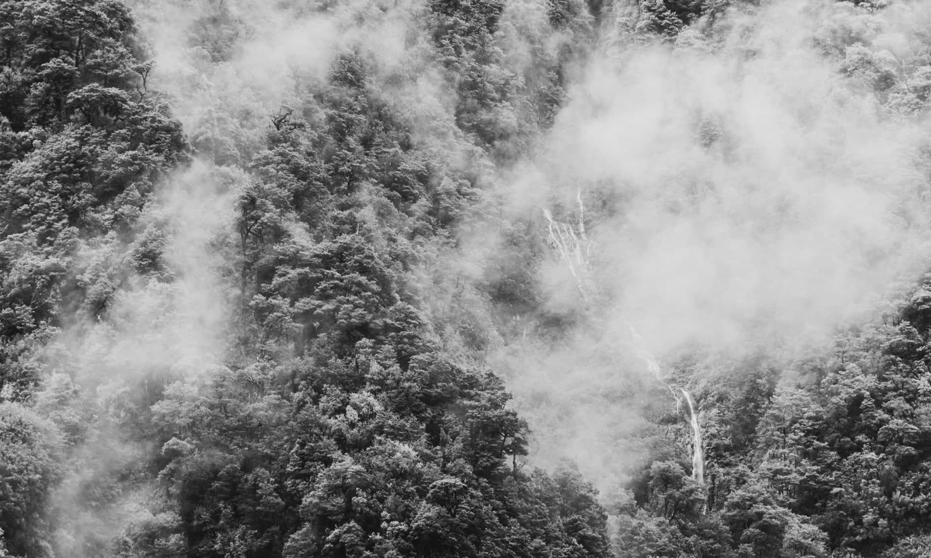 Ladera de bosque denso con nubes/niebla y una cascada fina; blanco y negro. Tierra #S3, fotografía de Cristian Letelier, edición limitada