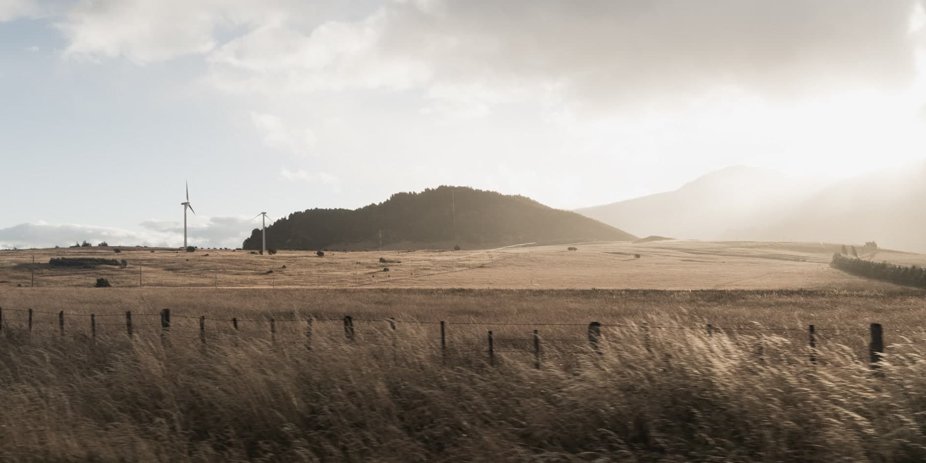 Pastizal dorado con alambrada, aerogeneradores y cerro a contraluz; color cálido. Tierra #S6, fotografía de Cristian Letelier, edición limitada