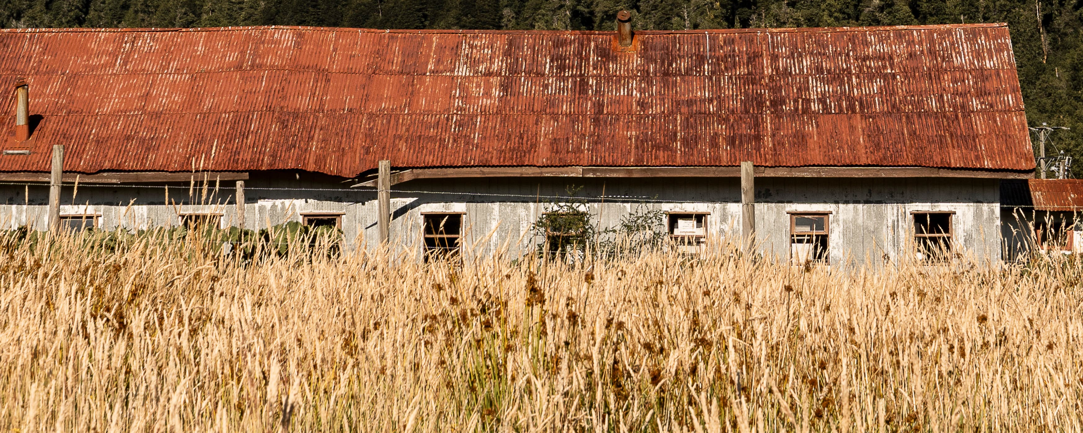 Sur de Chile - Fotografía artística por Cristian Letelier (Yiasau)