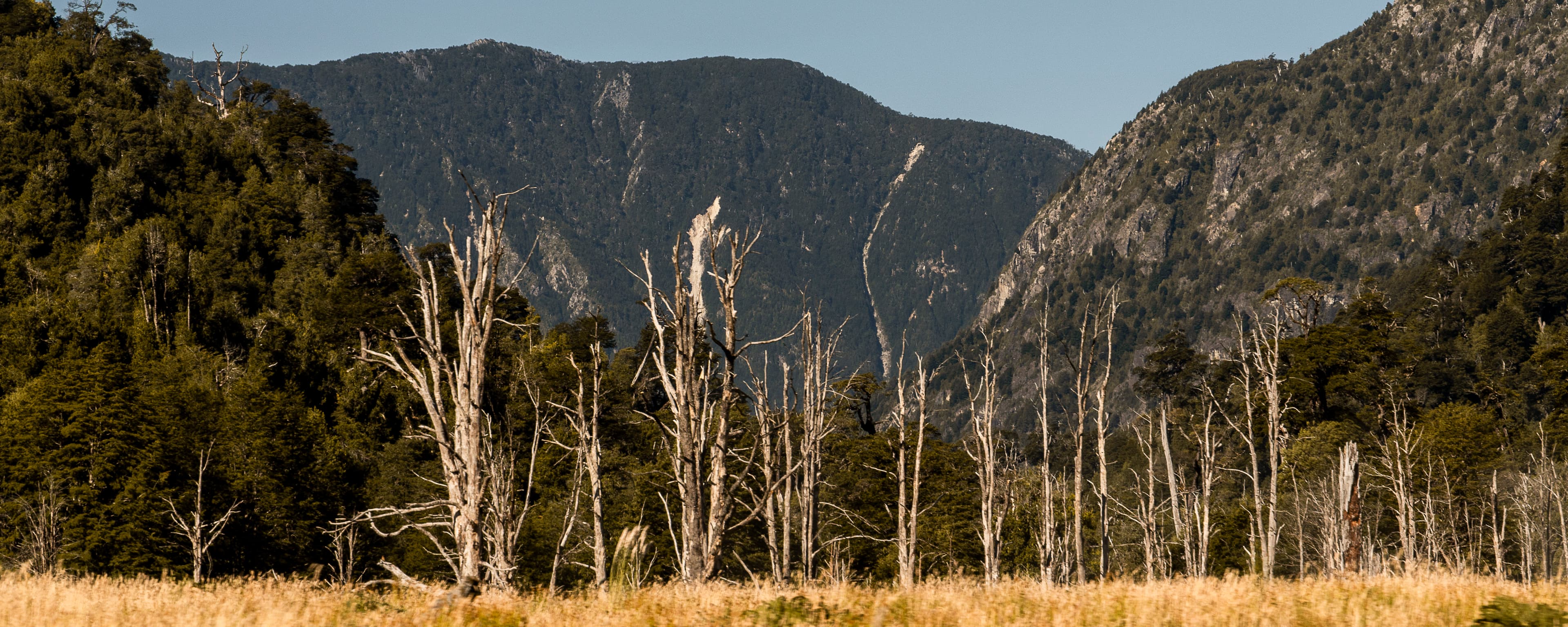 Sur de Chile - Fotografía artística por Cristian Letelier (Yiasau)
