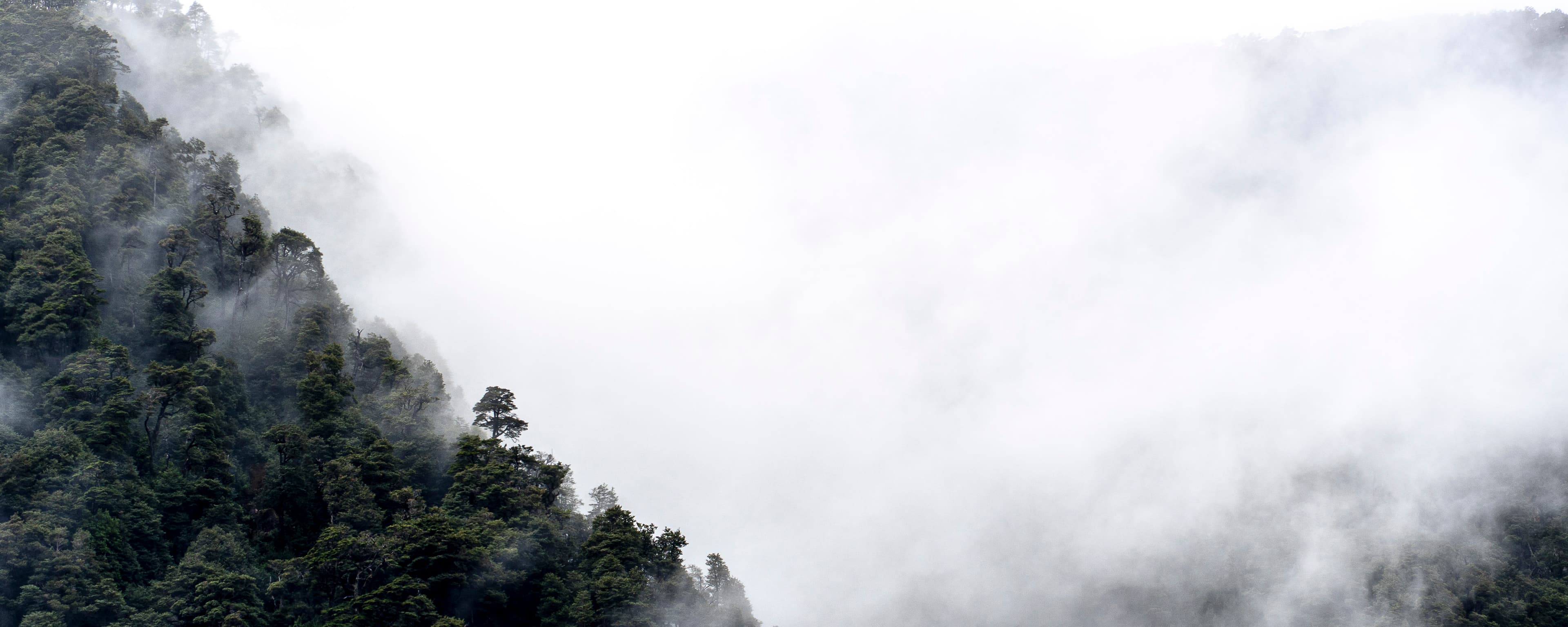 Sur de Chile - Fotografía artística por Cristian Letelier (Yiasau)